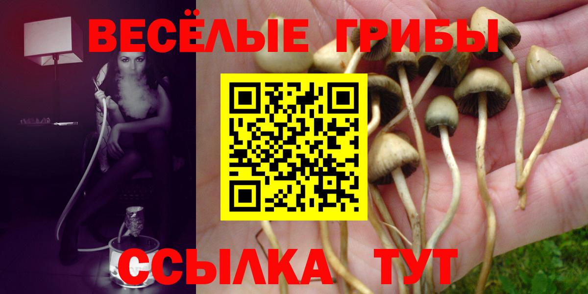 Галлюциногенные грибы мицелий Брянск